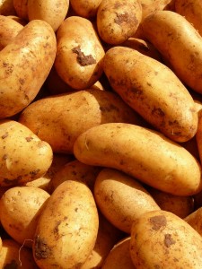 coltivazione patate