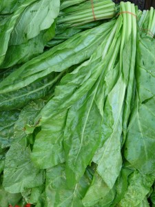 coltivazione spinaci
